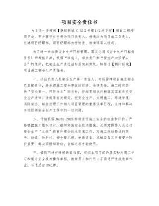 项目安全责任书