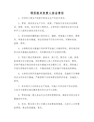 项目技术负责人安全责任