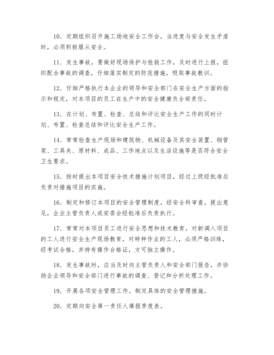 项目经理(项目安全生产第一责任人)安全生产责任制_第2页