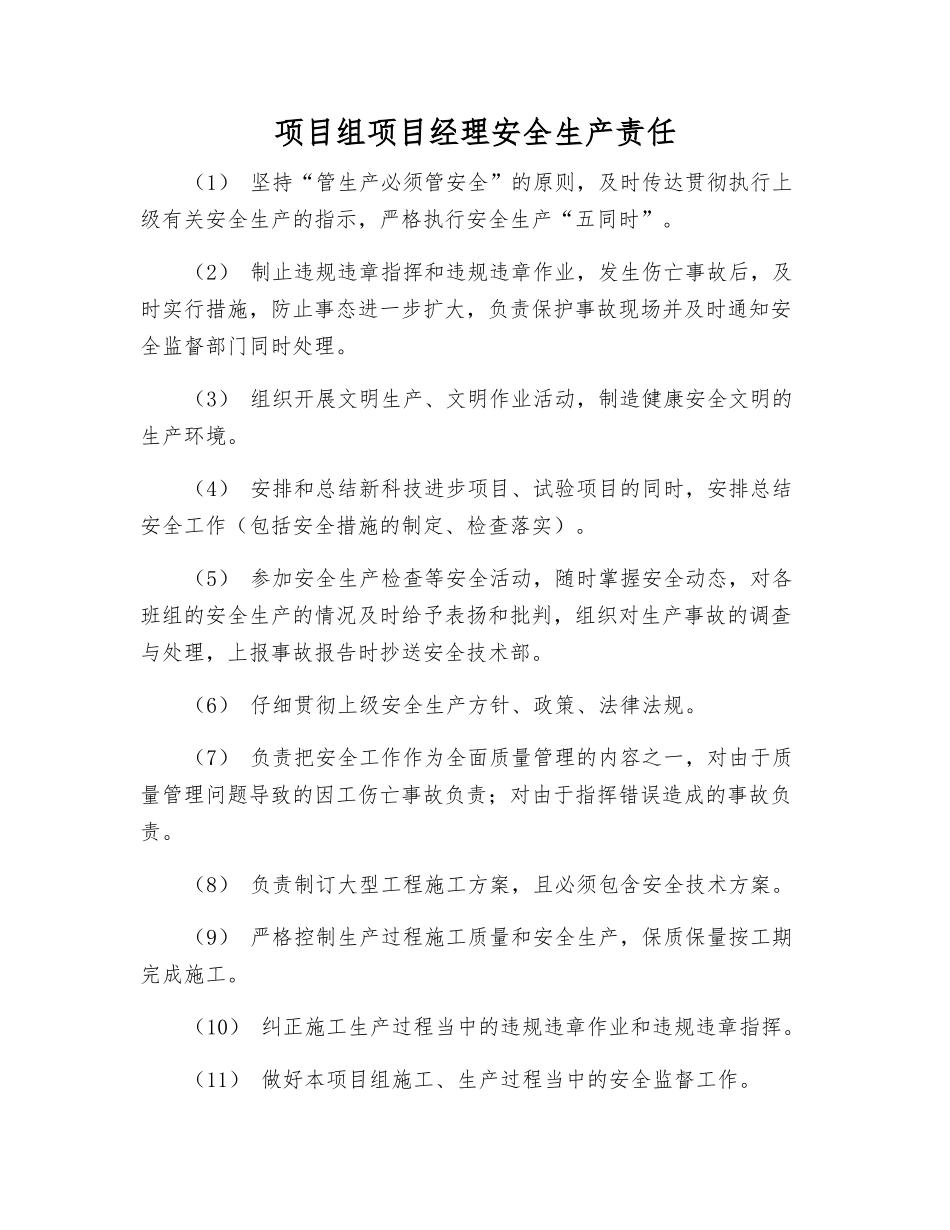 项目组项目经理安全生产责任_第1页
