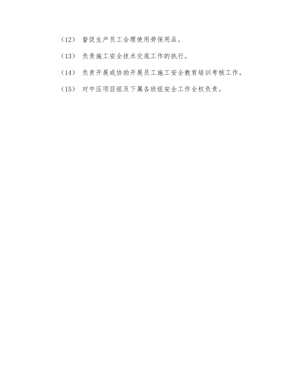 项目组项目经理安全生产责任_第2页