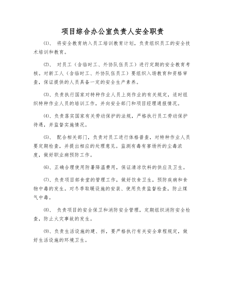项目综合办公室负责人安全职责_第1页