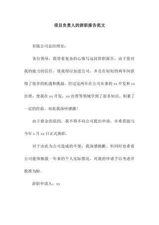项目负责人的辞职报告范文