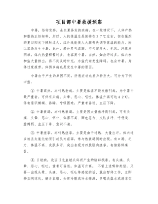 项目部中暑救援预案