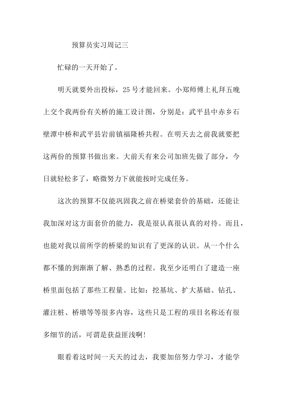 预算员实习周记范文_第3页