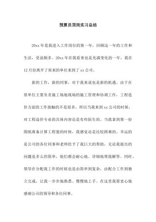 预算员顶岗实习总结