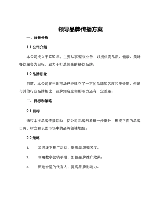 领导品牌传播方案
