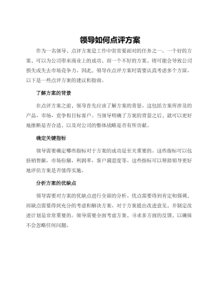 领导如何点评方案