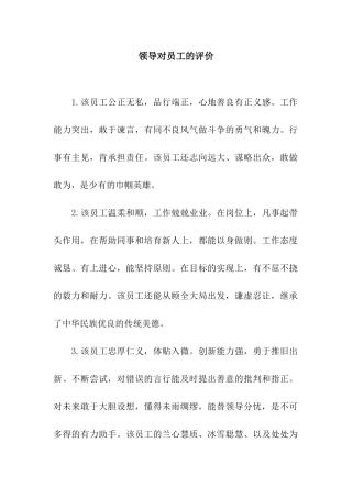 领导对员工的评价