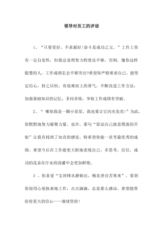 领导对员工的评语