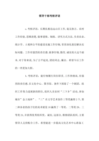 领导干部考核评语