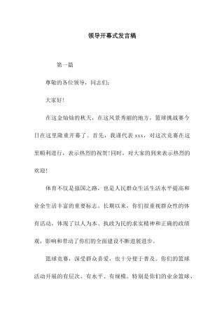领导开幕式发言稿