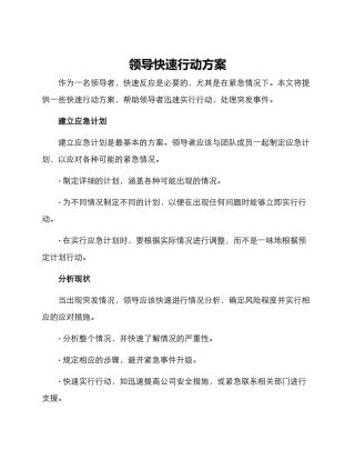 领导快速行动方案