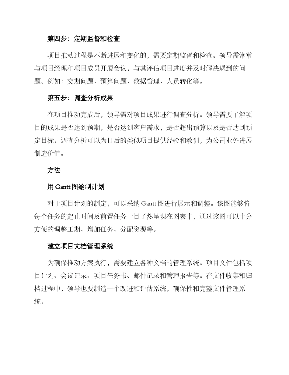 领导指导项目推进方案_第2页