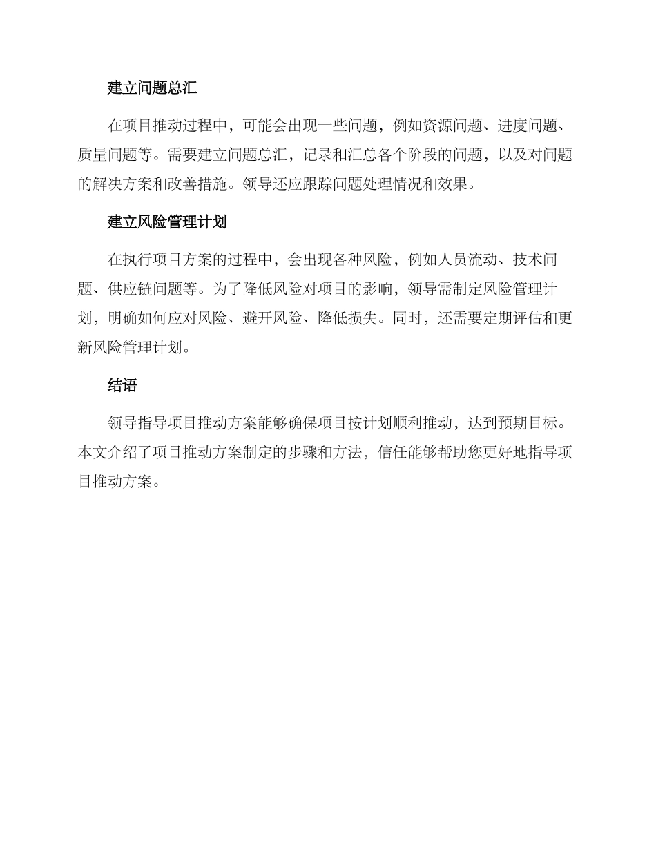 领导指导项目推进方案_第3页