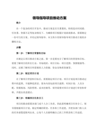 领导指导项目推进方案