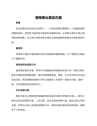 领导牵头策划方案