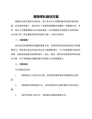 领导率队暗访方案
