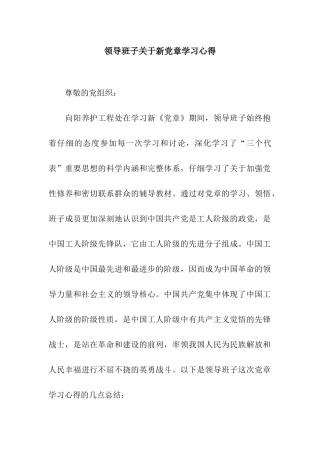 领导班子关于新党章学习心得