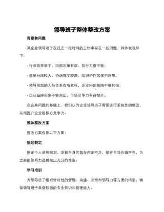 领导班子整体整改方案