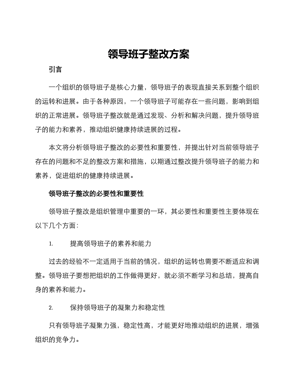 领导班子整改方案_第1页