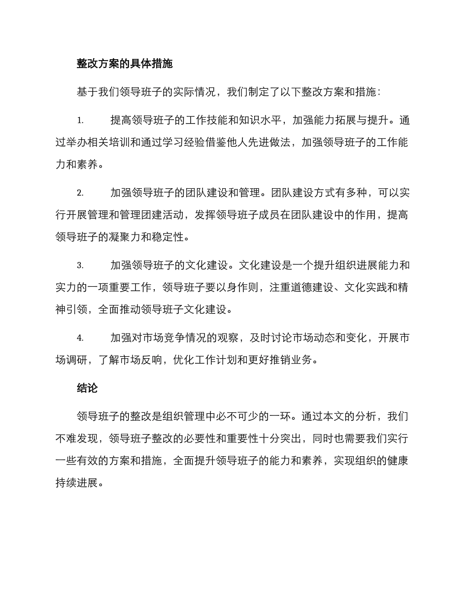 领导班子整改方案_第3页