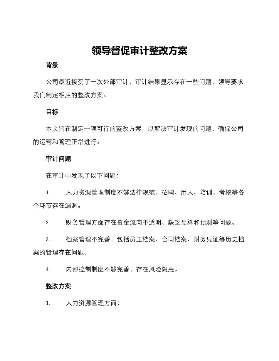 领导督促审计整改方案_第1页
