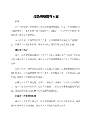 领导组织晋升方案