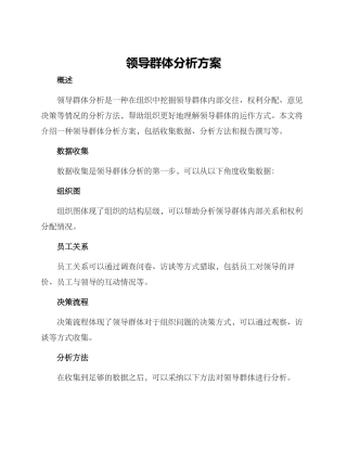 领导群体分析方案