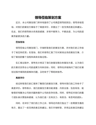 领导莅临策划方案