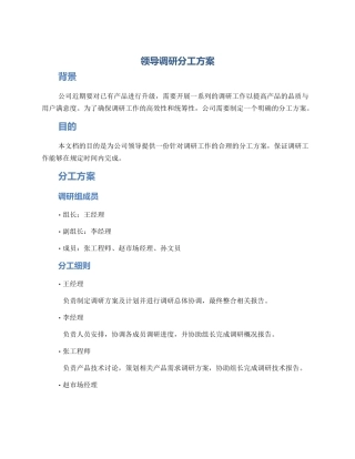 领导调研分工方案