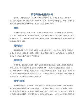 领导调研乡村振兴方案