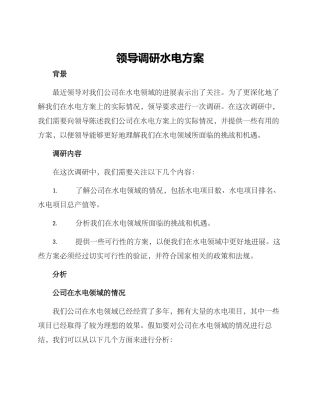 领导调研水电方案