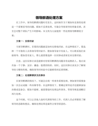 领导醉酒处理方案