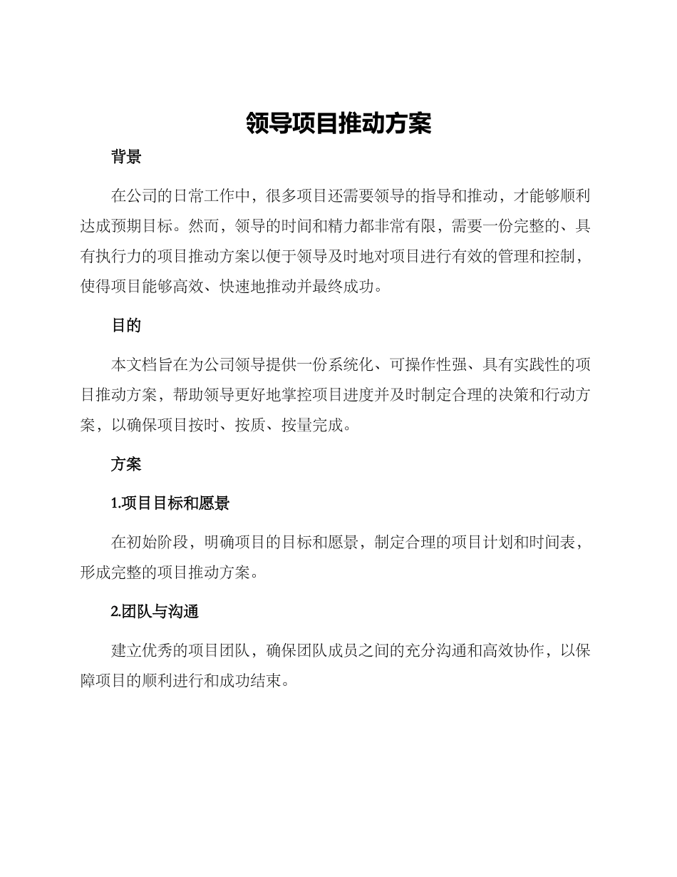领导项目推进方案_第1页