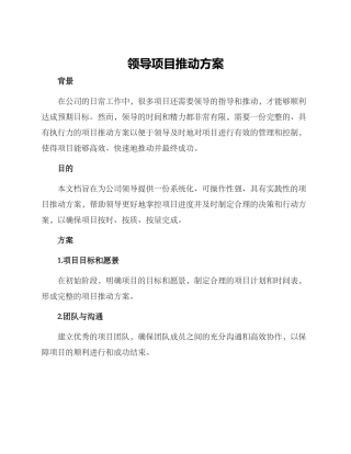 领导项目推进方案