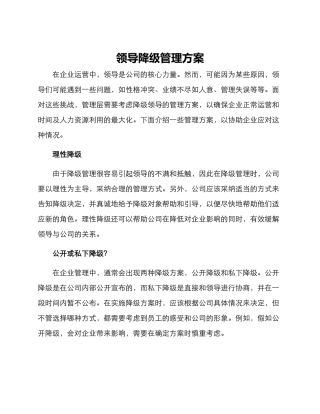 领导降级管理方案