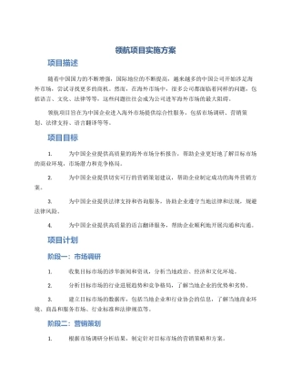 领航项目实施方案