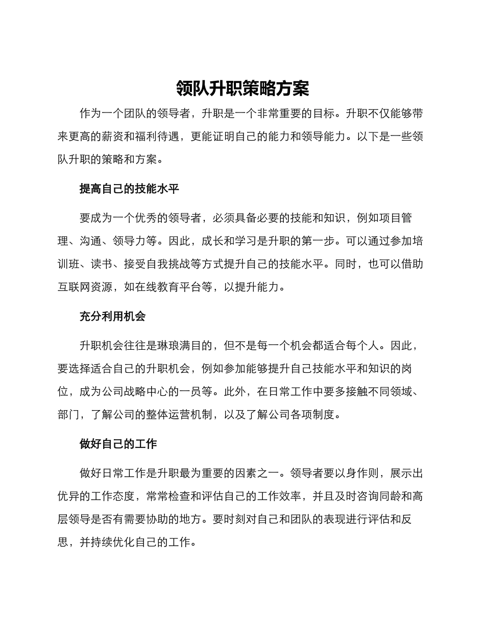 领队升职策略方案_第1页