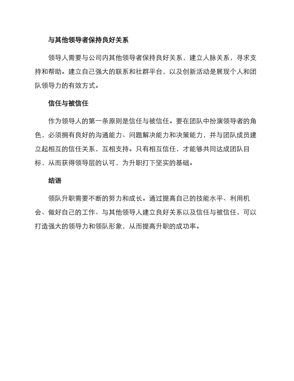 领队升职策略方案_第2页