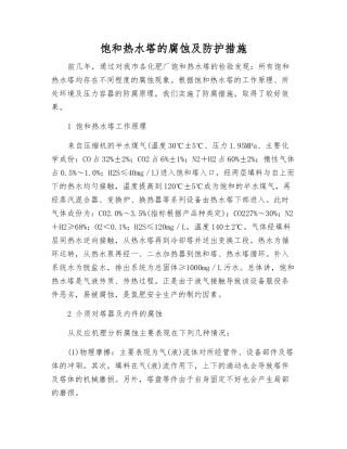 饱和热水塔的腐蚀及防护措施