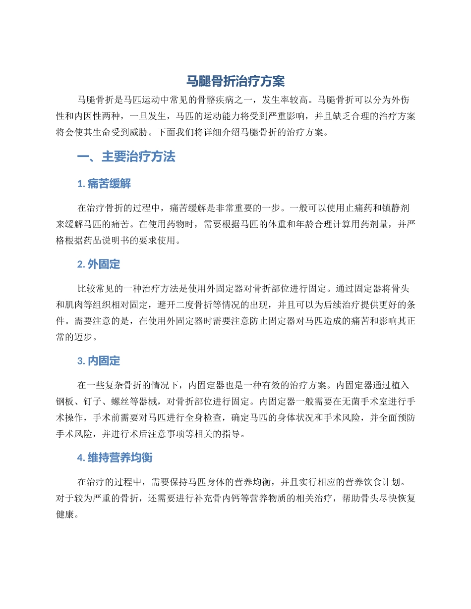 马腿骨折治疗方案_第1页
