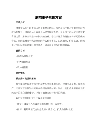 麻辣王子营销方案