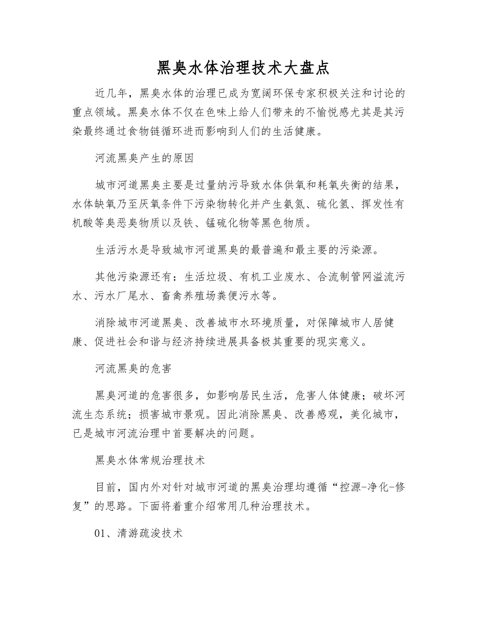 黑臭水体治理技术大盘点_第1页