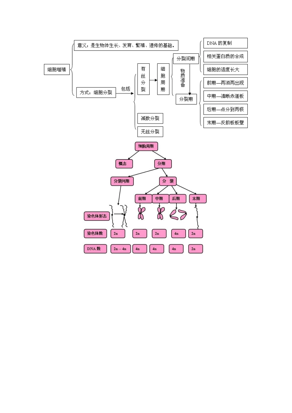 齐鲁医学5.1细胞增殖概念图_第1页