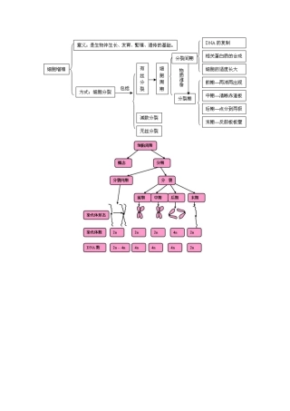 齐鲁医学5.1细胞增殖概念图
