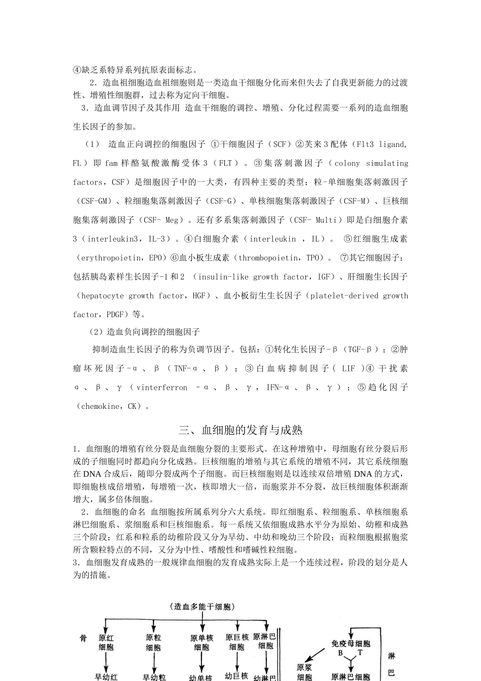 齐鲁医学92-第二章-造血与血细胞分化发育_第2页