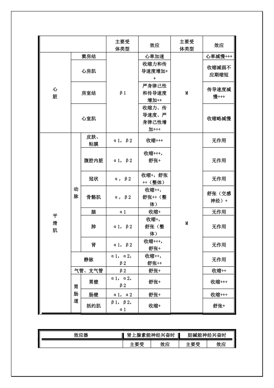 齐鲁医学M、N、α、β受体图表详解及用药_第2页