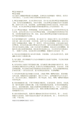 齐鲁医学PC12细胞