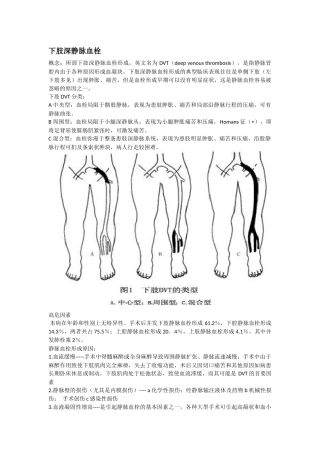 齐鲁医学下肢深静脉血栓DVT